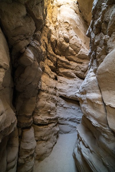Anza-Borrego, Anza-Borrego Desert, CA — photo 4 of 28
