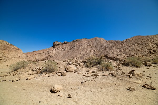Anza-Borrego, Anza-Borrego Desert, CA — photo 6 of 28
