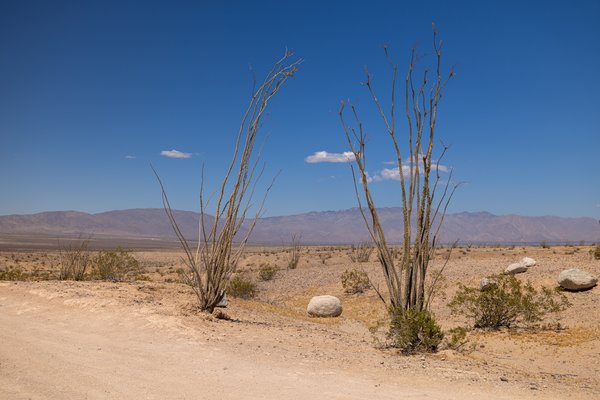 Anza-Borrego, Anza-Borrego Desert, CA — photo 7 of 28