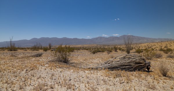Anza-Borrego, Anza-Borrego Desert, CA — photo 10 of 28
