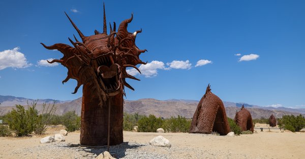Anza-Borrego, Anza-Borrego Desert, CA — photo 12 of 28