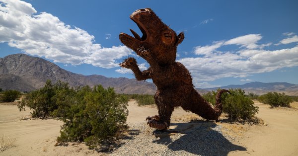 Anza-Borrego, Anza-Borrego Desert, CA — photo 13 of 28