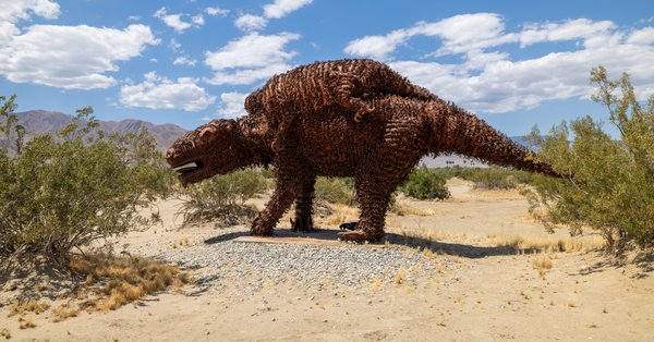 Anza-Borrego, Anza-Borrego Desert, CA — photo 14 of 28