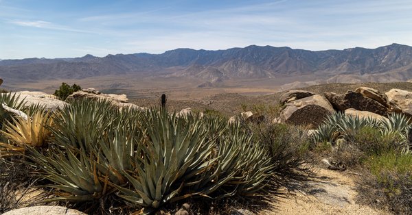 Anza-Borrego, Anza-Borrego Desert, CA — photo 15 of 28
