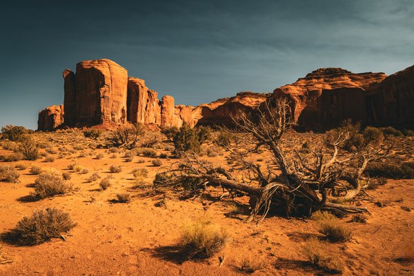 Arizona 2023, Arizona — photo 9 of 31