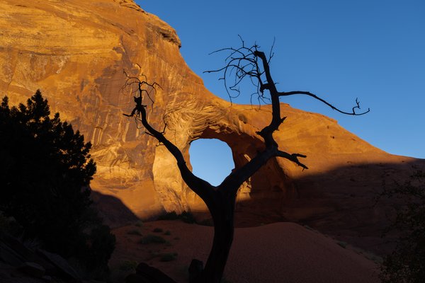 Arizona 2023, Arizona — photo 26 of 31