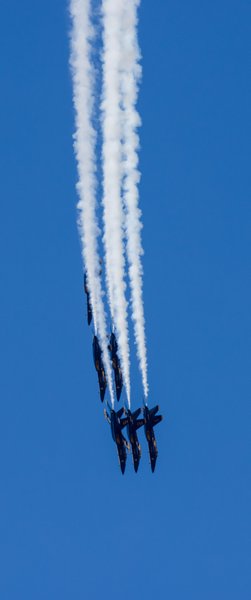 Charleston Air Show, Charleston — photo 50 of 150