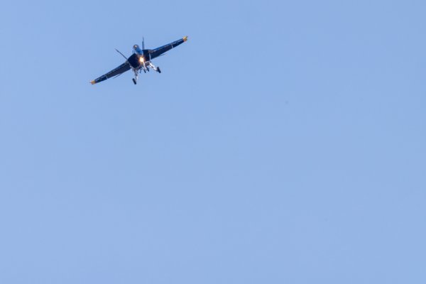 Charleston Air Show, Charleston — photo 84 of 150