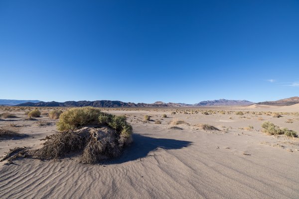 Death Valley, Death Valley, CA — photo 83 of 208