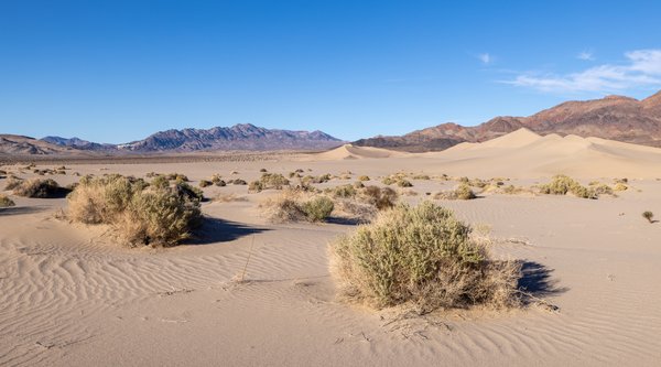 Death Valley, Death Valley, CA — photo 84 of 208