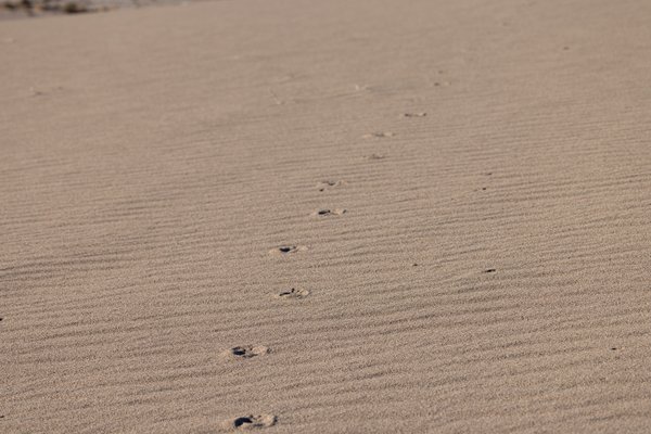 Death Valley, Death Valley, CA — photo 98 of 208