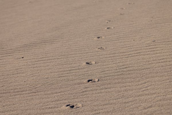 Death Valley, Death Valley, CA — photo 99 of 208