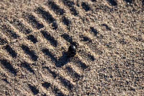 Death Valley, Death Valley, CA — photo 110 of 208