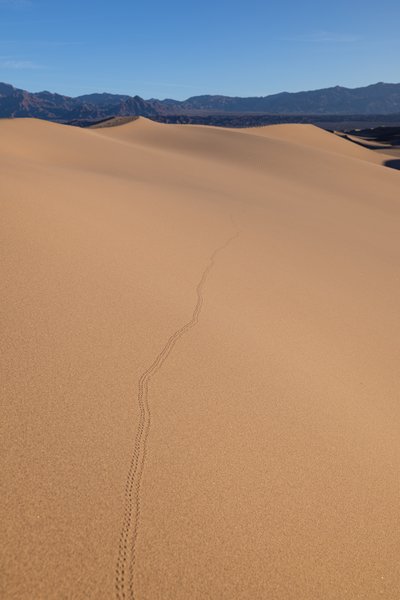 Death Valley, Death Valley, CA — photo 167 of 208