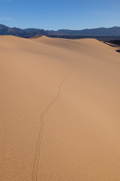 Death Valley, Death Valley, CA — photo 168 of 208