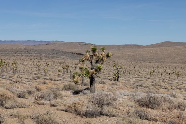 Death Valley, Death Valley, CA — photo 182 of 208