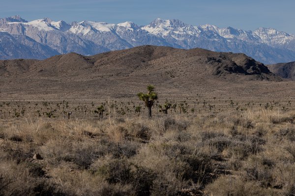 Death Valley, Death Valley, CA — photo 183 of 208