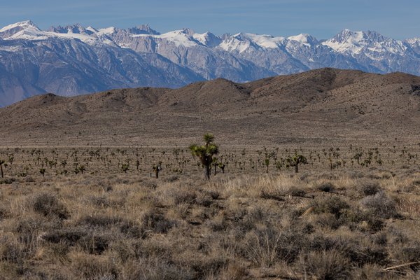Death Valley, Death Valley, CA — photo 184 of 208