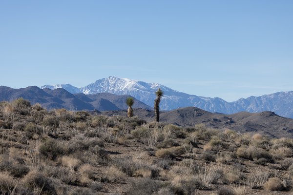 Death Valley, Death Valley, CA — photo 185 of 208