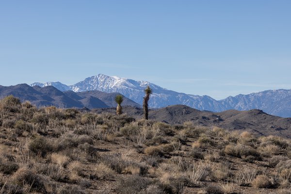 Death Valley, Death Valley, CA — photo 186 of 208