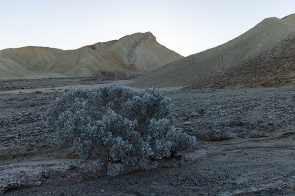 Death Valley, Death Valley, CA — photo 206 of 208