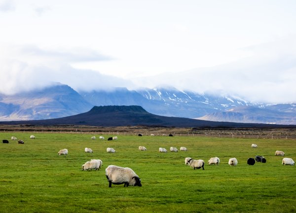 Iceland 2021, Iceland — photo 7 of 136