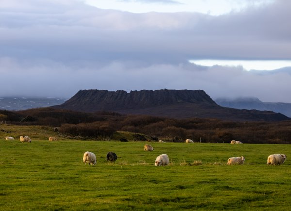 Iceland 2021, Iceland — photo 8 of 136