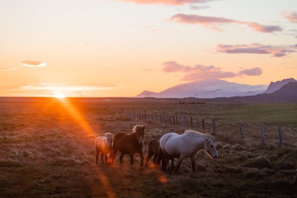 Iceland 2021, Iceland — photo 17 of 136