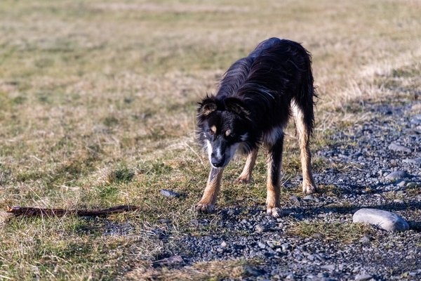 Iceland 2021, Iceland — photo 110 of 136