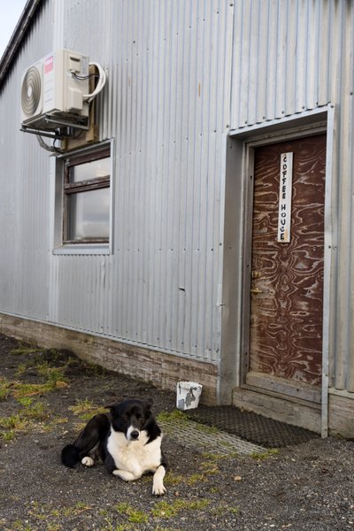 Iceland 2021, Iceland — photo 133 of 136