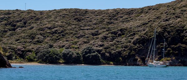 New Zealand 2018, New Zealand — photo 64 of 95