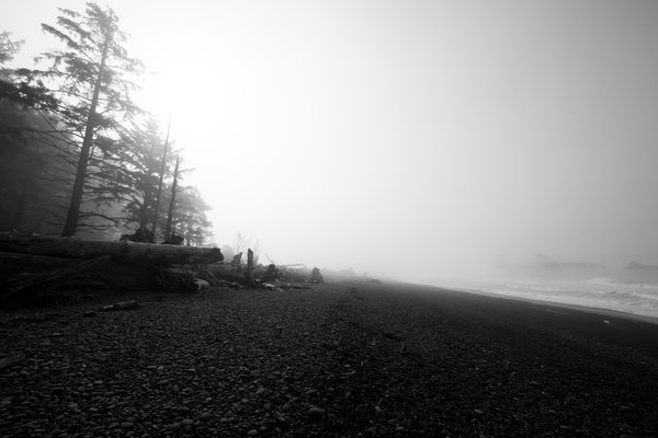 Pacific Northwest, Pacific Northwest — photo 1 of 51