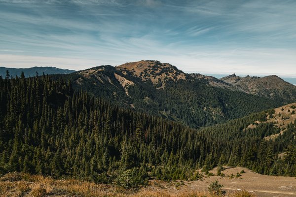 Pacific Northwest, Pacific Northwest — photo 22 of 51