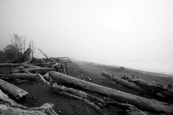 Pacific Northwest, Pacific Northwest — photo 48 of 51