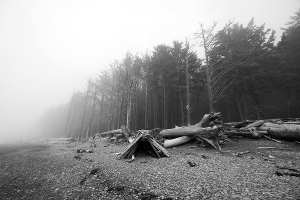 Pacific Northwest, Pacific Northwest — photo 49 of 51
