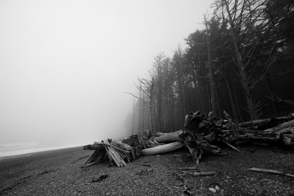 Pacific Northwest, Pacific Northwest — photo 50 of 51