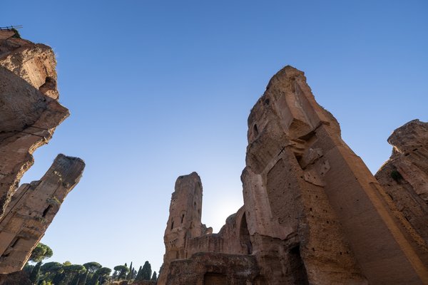 Backlit ruins and cypress, Baths of Caracalla