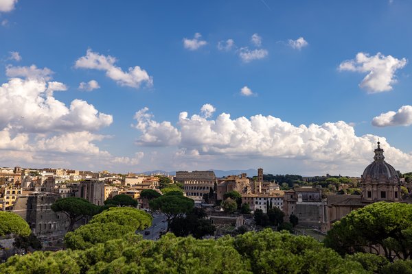Colosseum above the umbrella pines