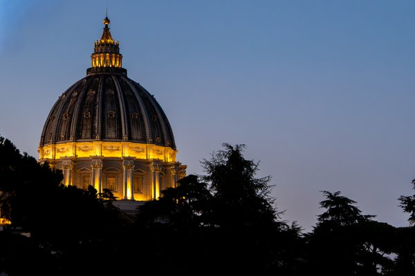 St. Peter's Basilica dome through pines
