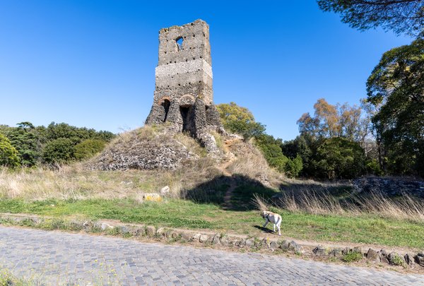 Ruined medieval tower on the Appian Way