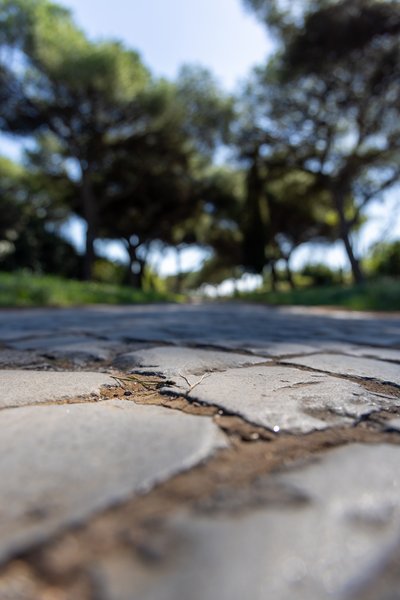 Worn basalt paving stones of the Appian Way