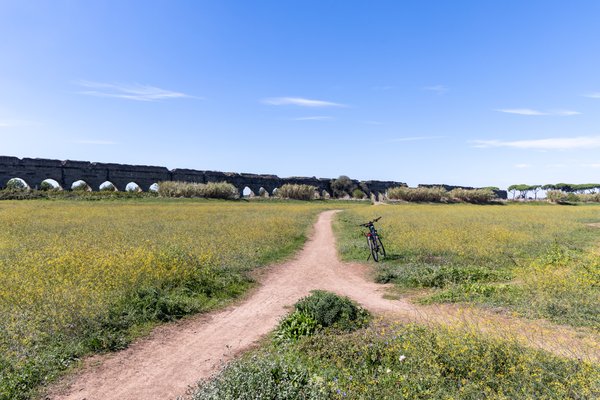 Bicycle and aqueduct across a wildflower meadow