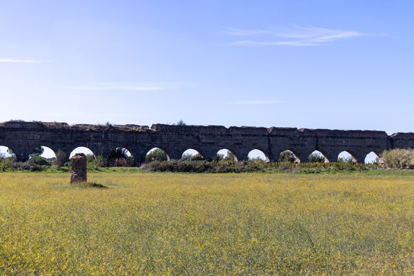 Aqueduct arches above golden mustard fields