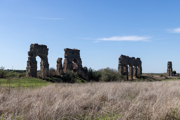 Broken aqueduct piers in open grassland