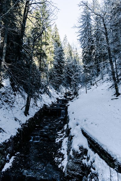 Switzerland Alps, Switzerland — photo 12 of 68