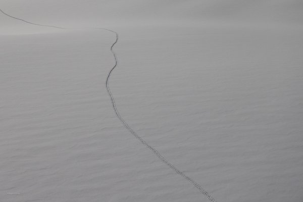 Switzerland Alps, Switzerland — photo 35 of 68