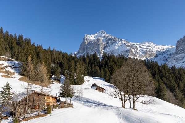 Switzerland Alps, Switzerland — photo 41 of 68