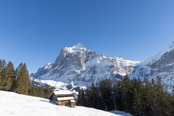 Switzerland Alps, Switzerland — photo 42 of 68