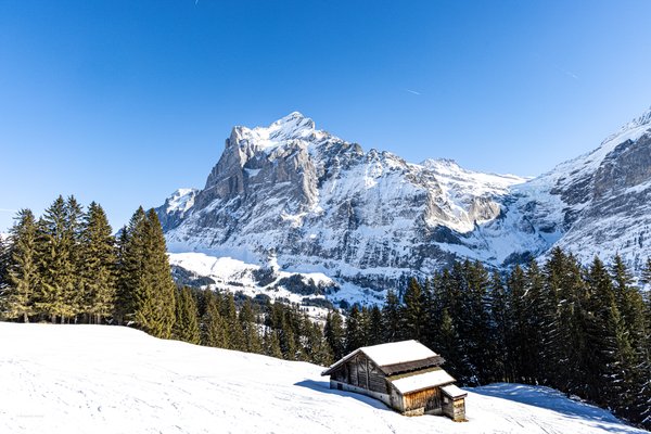 Switzerland Alps, Switzerland — photo 43 of 68